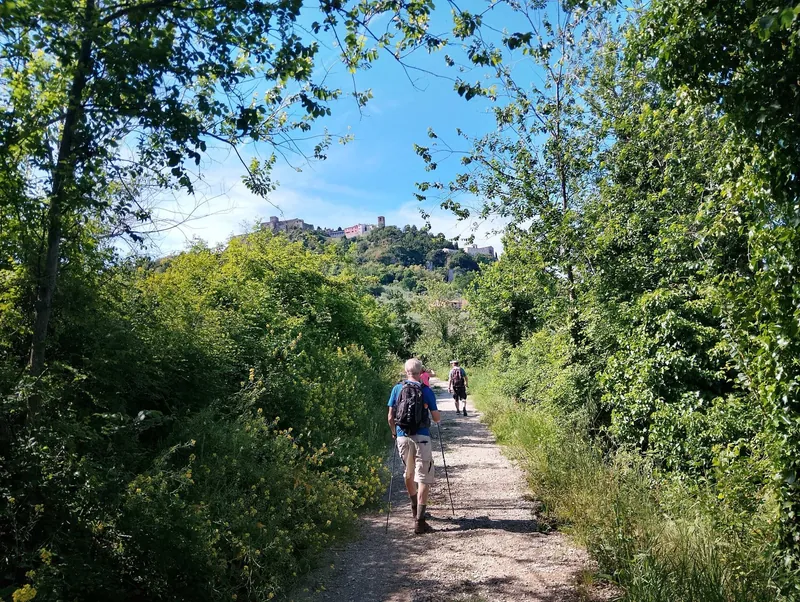 Il sentiero tra gli alberi, con il borgo in cima