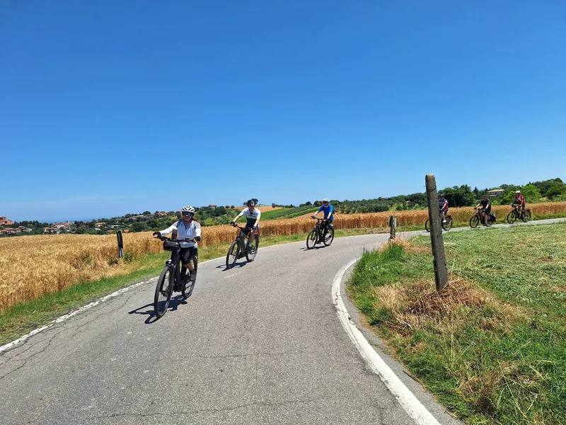 La strada tra i campi di grano